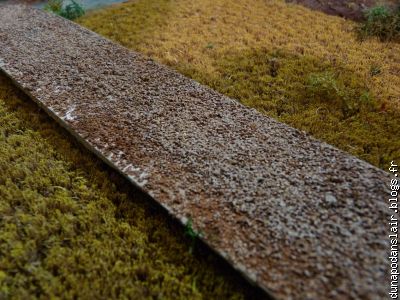 Le sable donne au chemin un côté caillouteux