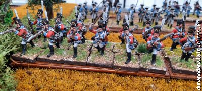 Le régiment d'Hervilly avec ses transfuges républicains.